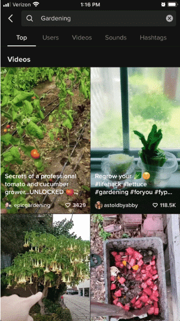 Video TikTok hiển thị khi bạn tìm kiếm "Làm vườn"